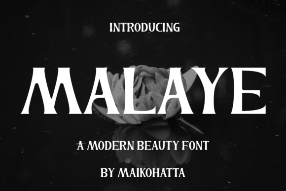 Malaye: A Bold Display Font for Web Design